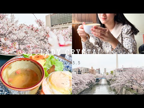 Japan Travel Vlog｜Let’s enjoy the cherry blossoms together／Meguro River, Ueno Park Cherry Blossoms🌸🍳