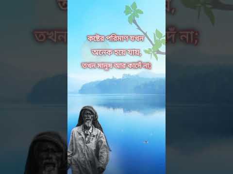 #shortvideo #banglaquatos #quotes