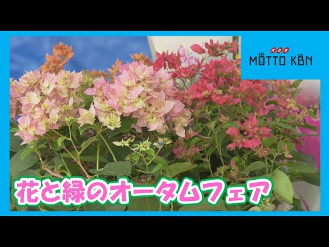 花と緑のオータムフェア