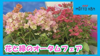 花と緑のオータムフェア