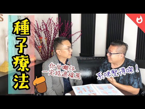 健康養生話你知:【種子療法】堅唔堅先🤔️!!(張老師 狄甘比)