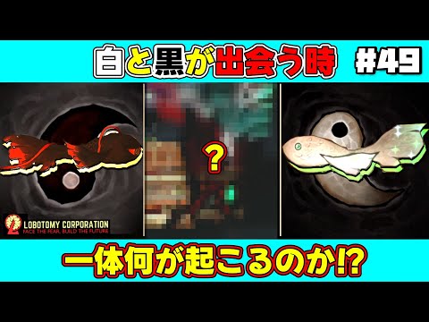 【 lobotomy corporation ＃49 】混ぜるな危険！陰と陽が脱走した結果とんでもない事になりました【 ロボトミー コーポレーション 実況 】