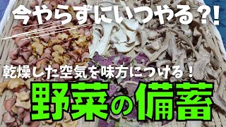 【食糧不足】自家製野菜の保存食を作る！今がチャンス！｜最強の備蓄食！