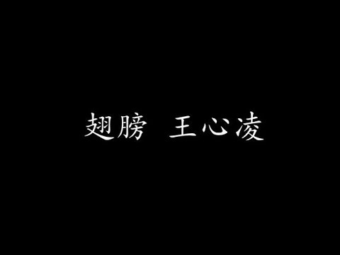 翅膀 王心凌 (歌词版)