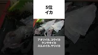 アニサキスが発見されやすい魚TOP5 #shorts