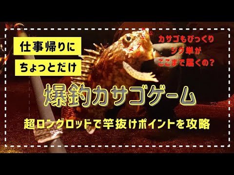 爆釣カサゴゲーム❗仕事帰りにチョッとだけよ　超ロングロッドで竿抜けポイント攻略⁉️