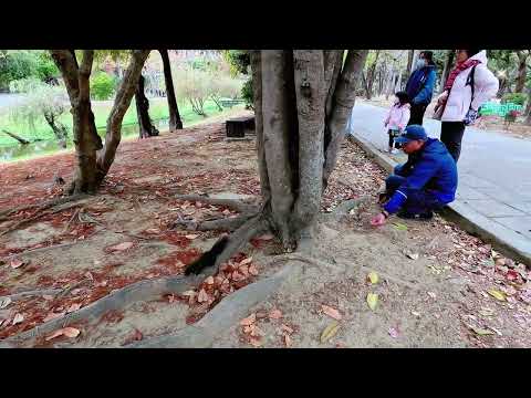 巴克禮紀念公園:美麗景色和豐富的生態為城市綠地。讓市民可以在公園漫遊，享受大自然的悠閒時光.