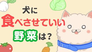 犬にあげて良い野菜・絶対に与えてはダメな野菜