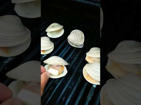 quahogs on the grill, easy recipe  that will make you say #yummy #clams #clamsrecipe #foodie #shorts