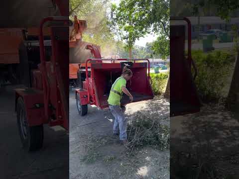 Wood Chipping!!  #hardwork #treeservice #gettingitdone