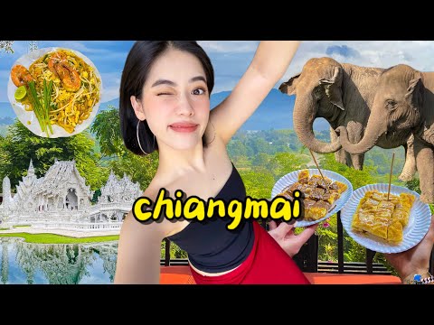 exploring northern thailand 🇹🇭 | chiang mai & chiang rai | bomb street food, elephants, temples!