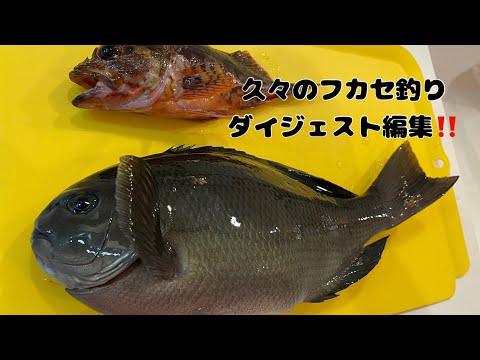 磯泊まりでフカセ釣り❗️  ダイジェストだよ‼️