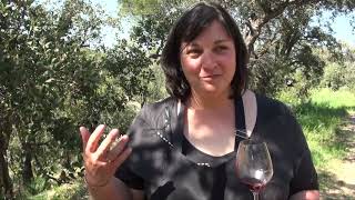 Jamie Drummond On Food And Wine #453 Why You Should Consider Buying Old Vineyards In SW France