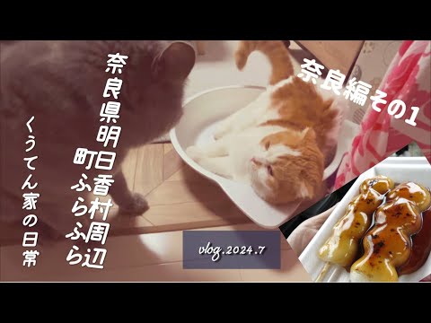 【散歩】奈良県明日香村～御所の郷/日帰りドライブ/中年夫婦/猫のいる暮らし