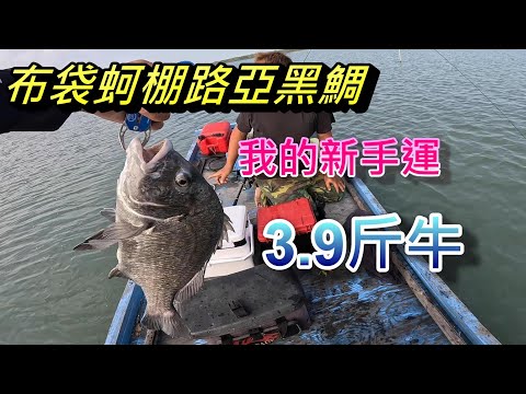 這影片我拍了好幾天 雖然第一趟就中大魚 但是我還是覺得內容不夠充實 所以才一直沒發布