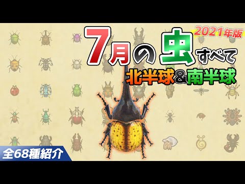 【あつ森】7月に捕れる虫を全て紹介！出現場所や時間、値段、雨など特殊条件についても徹底解説！ヘラクレスやオウゴンオニ、ギラファなどレア虫が大量【あつまれどうぶつの森　7月の虫図鑑コンプリート】