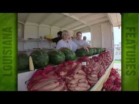 Vidalia's Sweet Corn Stand (2006)