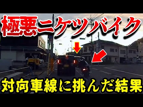 【ドラレコ】対向車を完全無視で追越しをかける迷惑ニケツバイカス衝撃の瞬間【交通安全推進、危機予知トレーニング】【スカッと】