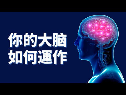 心理學研究|我們的大腦是如何工作的？心理學是如何影響我們的大腦？這6個心理學效應你必須知道