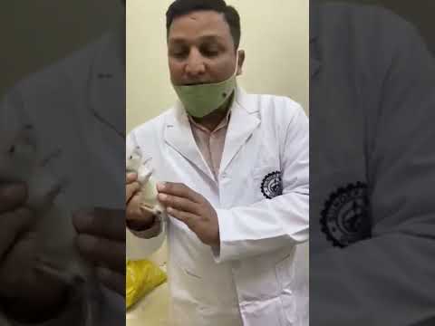 Practice on Rat in pharmacology Laboratory  #pharmacologylab #medical #shorts #ytshorts #mpharm