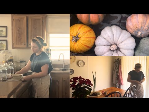 Finally getting back to homemaking | vlogmas day 3