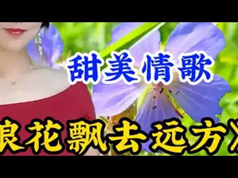 甜美情歌《爱随浪花飘去远方》 旋律优美深情好听句句入心 抖音热歌 一首好听的歌分享给大家 爱音乐爱生活 爱上音乐节e如反掌