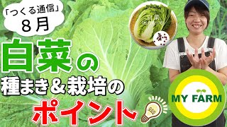 白菜の育て方を徹底解説！種まきから栽培のポイント・収穫まで【8月つくる通信】