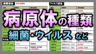 【病理学】病原体の種類（細菌・ウイルスなど）