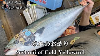 【寒鰤のお造り】脂ノリノリ寒ブリを食べ尽くす！まずはトロの部分をお刺身で　Sashimi of cpld yellowtail