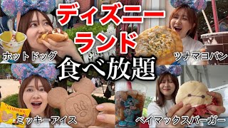 【バケパで豪遊】ぼっちディズニーランドで朝から晩まで楽しみまくったら今日も楽しくてハッピー