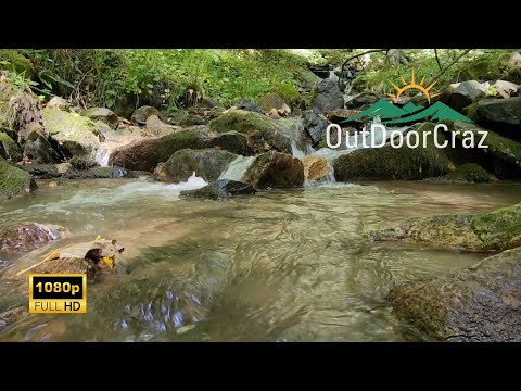 Natural Stream Water Sounds for Stress Relief, Sleep, Studying, Relaxing, and for Pets | 10 Hours