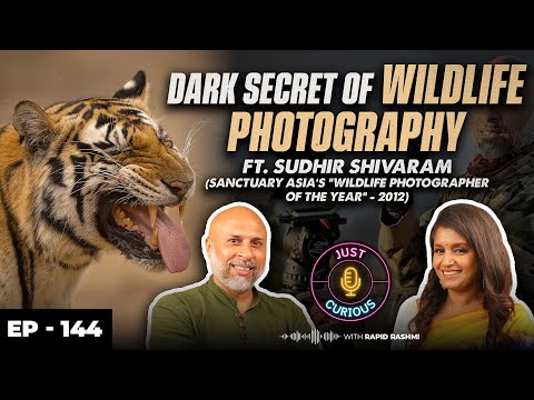 Into the wild, Photography Tips & Course’s, Celebrity wildlife Photography, Surviving, Money & More