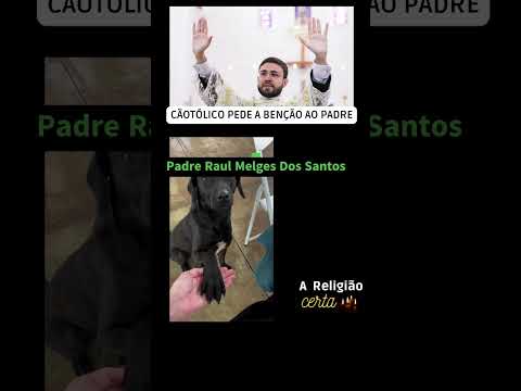 Cão Pede A Benção Ao Padre Raul Melges, E Sacerdote O Batiza De "CãoTólico" #areligiaocerta