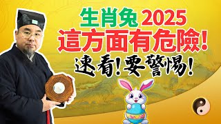 生肖兔！2025年乙巳蛇年，你要警惕危險和意外！這方面潛藏風險，千萬要當心！ #2025年生肖兔運勢 #2025年生肖兔運程 #2025年屬兔運勢 #2025年屬兔運程