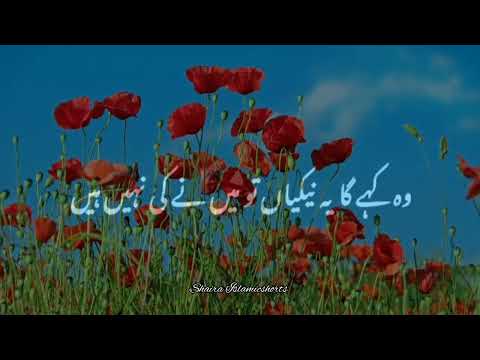 Nabi Paak 'ﷺ' Ne Farmaya Qayamat Ke Din 🥀 | Islamic WhatsApp Status |