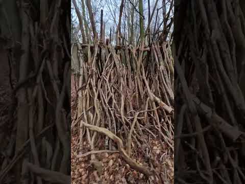 Bushcraft shelter found in the woods #bushcraft #survival #bushcraftshelter