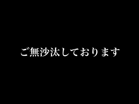 ご無沙汰しております