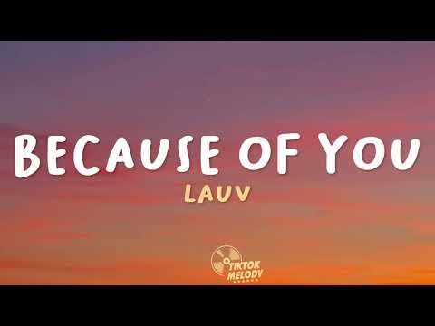 Lauv - Because of You (Lyrics)