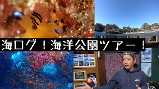 [伊豆ダイビング]海ログ！海洋公園ツアー！