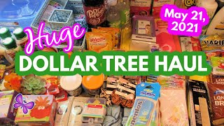 Huge DOLLAR TREE HAUL!  So many great finds!  May 21, 2021  #LeighsHome