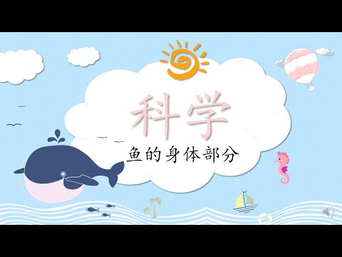 学前班科学（鱼的身体部分）