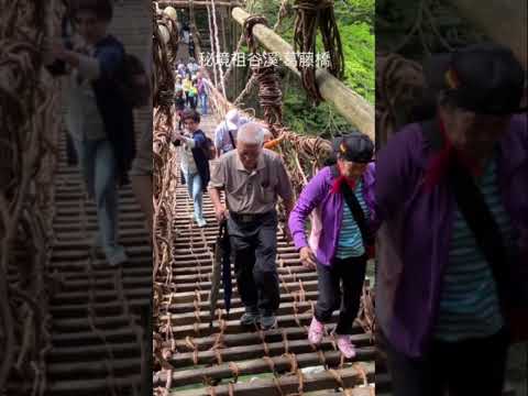 秘境祖谷溪·葛藤橋