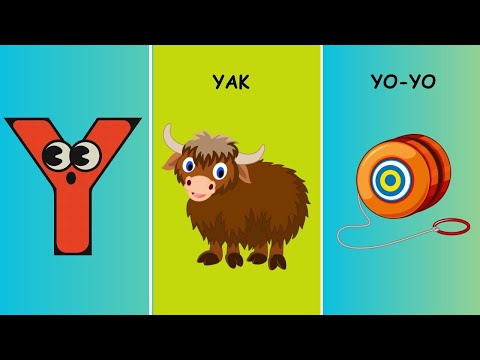 Y Words - Words Starting With Y | Y Letter Words - ABC Flashcards