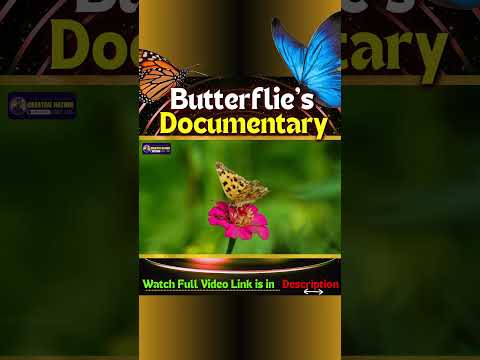 Watch Full Video on Butterflie's Documentary | Creative Nature #butterfly #insects