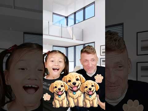 Much vs. Many, Puppies and Money | All About Grammar | Learning English with Ailani's Little World ⁷