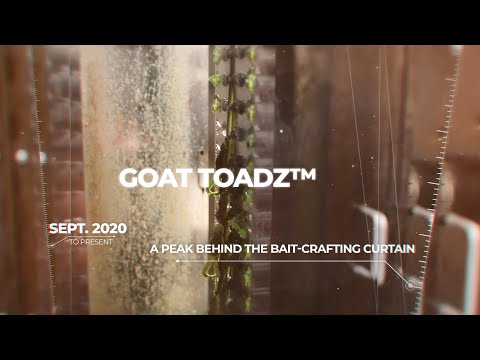 Crafting the GOAT ToadZ