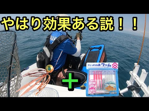 【2馬力ボート】やっぱりタイラバにDAISOワームをつけると魚が釣れる説