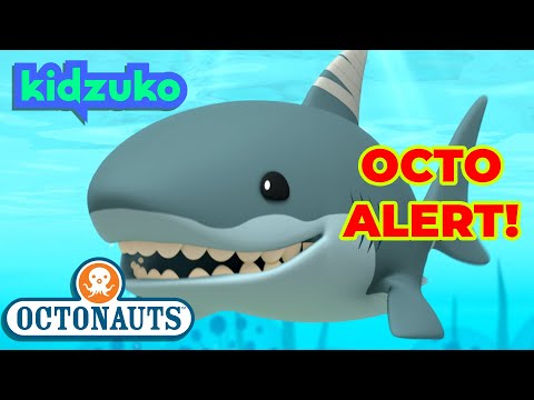 @Octonauts - 🪸 The Big, Bad Scary Great White Shark 🦈 | Full Episodes | Season 2 | @Kidzuko