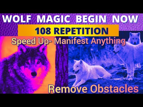 💖🦋🌈WOLF - MAGIC- BEGIN - NOW ||SWITCHWORD CHANT||SPEED UP MANIFESTATION||MANIFEST ANYTHING💖🦋🌈🌸🧘‍♀️🙌🙏