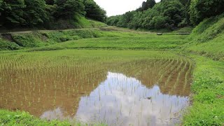 石畑の棚田